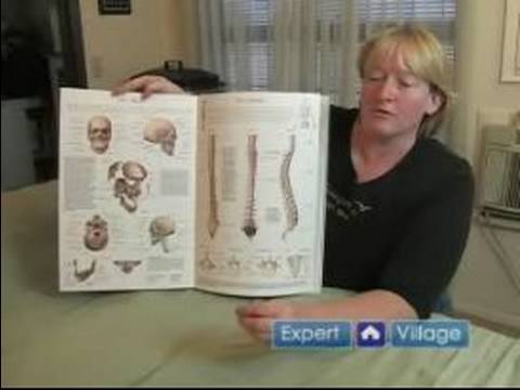 Kafatası Sakral Masaj Terapisi: Kafatası Kemikleri Anlama: Kafatası Sakral Masaj Terapisi