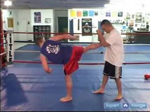 Karışık Dövüş Sanatları Ve Muay Tay Kickboks: Kickboxing Arka Tekme İplik