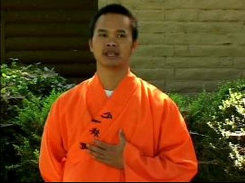 Shaolin Kung Fu Teknikleri : Shaolin Kung Fu Giriş 