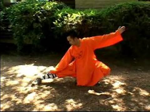: Shaolin Kung Fu Teknikleri Shaolin Kung Fu Tutumları