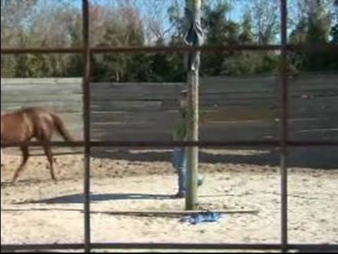 Atını Hamle İçin Nasıl Tren : Stop & Özgür Hamle Ters Bir At Yakalamak İçin Nasıl 