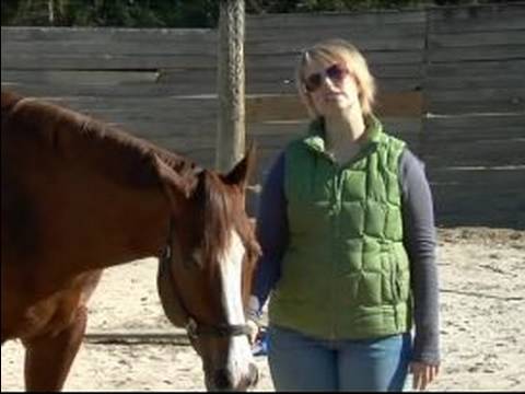 Atın Nasıl Hamle Tren : Özgür Ata Yumruk Yaparken Güvenlik 