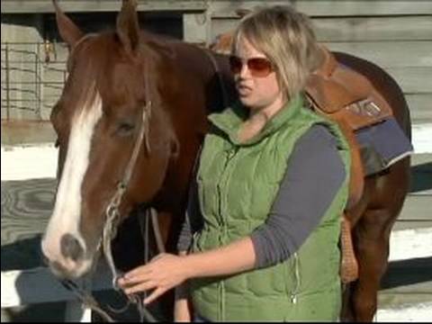 Nasıl Batı Tarzı Bir At Dizgin : Atın Batı Tarzı Bridling Sırasında Güvenlik 
