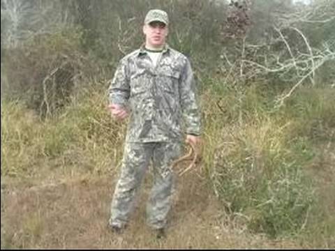Nasıl Avı Geyik Yapılır: Deer Hunting Tehdidi Nedir?