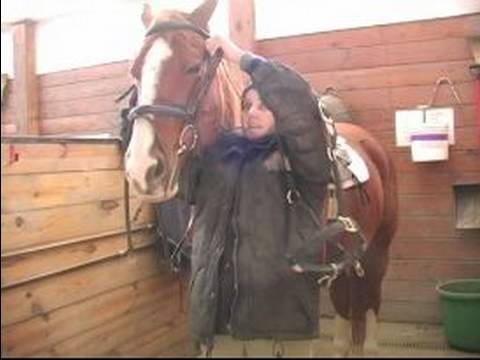 Nasıl Bir At Kadar Tack Yapılır: Nasıl Bir At At Başlığı Kaldırmak İçin