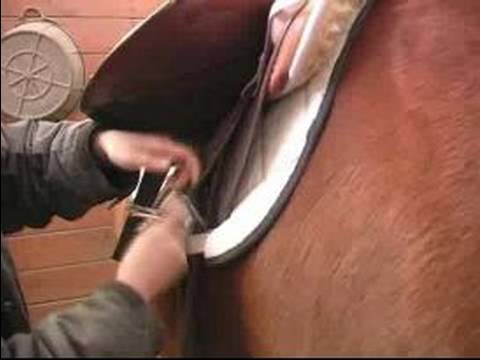 Nasıl Bir At Kadar Tack Yapılır: Nasıl Çevresi Ve Eyer Bir Attan Kaldırmak İçin