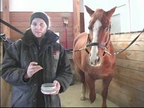 Nasıl Bir At Klibi İçin : Atlar İçin Kırpma Bıçakları Çeşitleri 