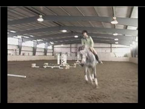 Horse Gaits : Sağ Ayak Kurşun Oturan Bir Tırıs Gelen Eşkin 