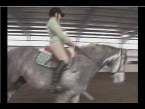 Horse Gaits : Sol Ayak Kurşun Oturan Bir Tırıs Gelen Eşkin 