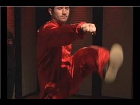 Kung Fu Tan Tui 2 : Kung Fu Tan Tui 2 Sol Topuk Tekme, Ters Yumruk