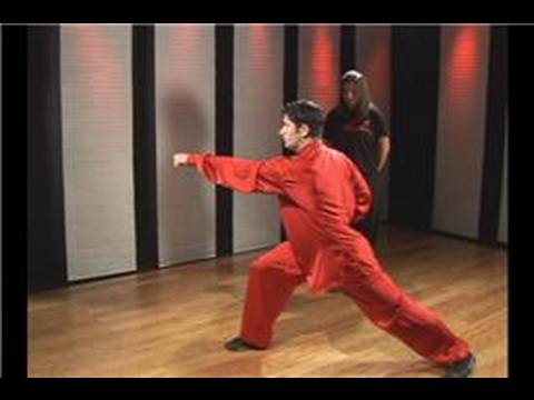 Kung Fu Yumruklar : Ters Yumruk Kung Fu 