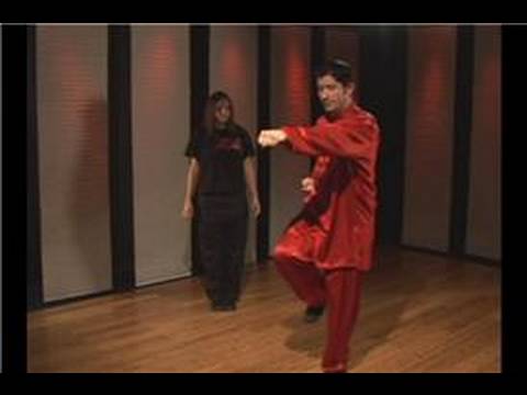 Tuı 2 Kung Fu Tan : Kung Fu Tan Tui 2 Sağ Kazımak Blok Yan Yumruk