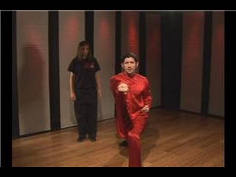 Tuı 2 Kung Fu Tan : Tui 2 Topuk Kung Fu Tan Tekme, Ters Yumruk