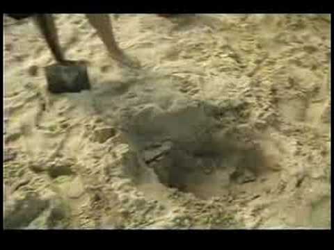 Nasıl Bir Sandcastle Kurmak: Sandcastle Oluşturduktan Sonra Up Temizleme