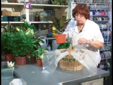 Bitki Hediye Sepetleri Hediye Sepetleri İçin Prearranging Bitkiler 