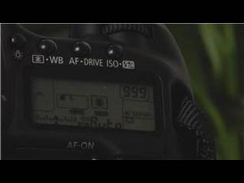 Canon Eos 40 Üzerinde otomatik odak ve Sürücü Modu : Canon Eos 40: Seçerek otomatik netleme Modu