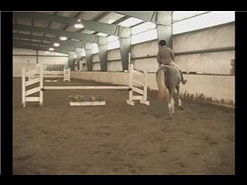 Gelişmiş Binicilik Atlama Egzersizleri : At Önce Isınma Atlama
