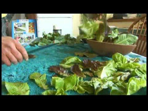 Hoop Evlerde Büyüyen Yeşiller : Salata Çamaşır Bebek Yeşillik 
