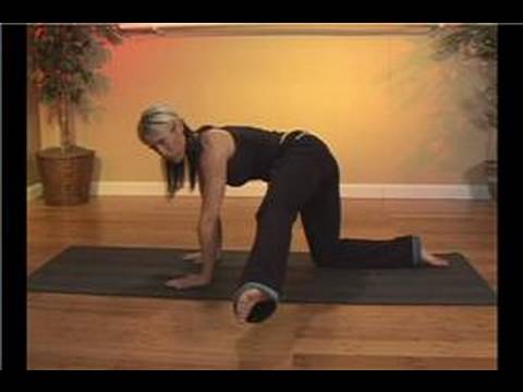 Dört Ayak Üzerinde Pilates Egzersizleri : Pilates Bacak Uzatma Egzersiz İle Diz Basın 