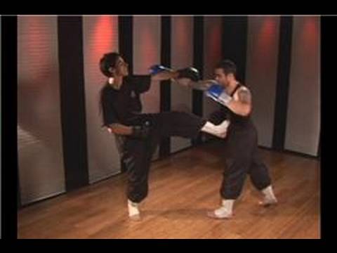 Kung Fu Dövüş Teknikleri : Kung Fu Dövüş Teknikleri Dışında Blok Ve Ön Tekme