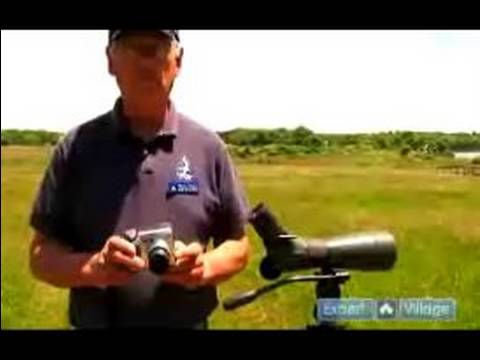 Kuş Gözlemciliği İle Başlamak : Kuşçuluk İçin Dijital Kamera Kullanmanın Avantajları 