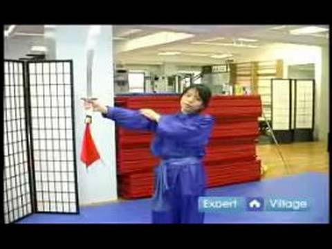 Gelişmiş Wushu Teknikleri : Pala Çiçek Wushu Hareket