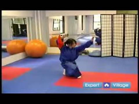 Gelişmiş Wushu Teknikleri : Serbest Stil Wushu Kombinasyonları Öğrenin 