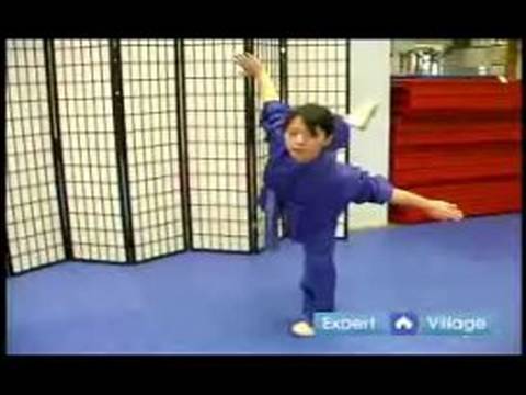 Gelişmiş Wushu Teknikleri : Wushu Kelebek Tekme