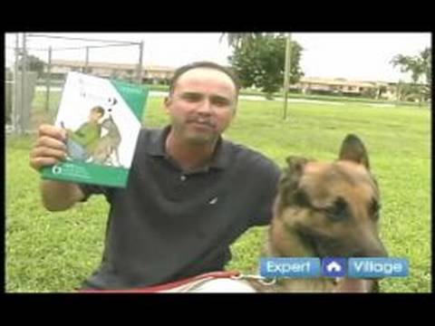 Temel Köpek Eğitim Teknikleri: Nasıl Bir Köpek Yaka