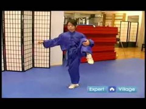 Wushu Cher Tsuai Yan Tekme Nasıl Wushu Tekniklerini Acemi : 