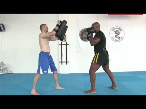 Dövüş Sanatları Savaşçı Eğitim : Dövüş Sanatları Savaşçı Eğitim: Sol-Sağ Yumruk