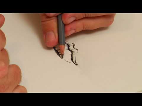 Conte Crayon İnsan Bir Ağız Çizmek İçin Nasıl Çizim Dersleri : 