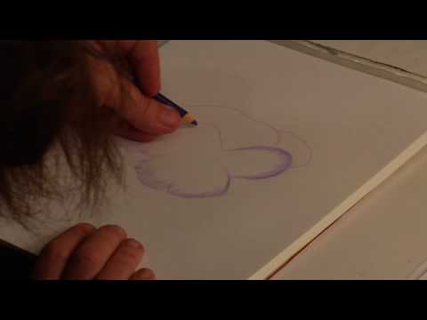 Renkli Kalemler Bir Hercai Menekşe Nasıl Çizmek İçin Çizim Dersleri : 