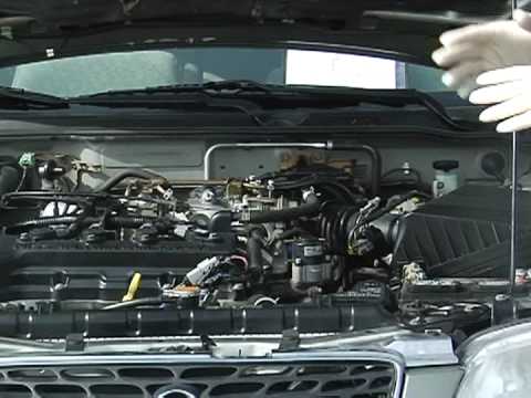 Oto Temizlik: Motor & Trunks : Otomatik Detaylandırma: Motor Önlemleri