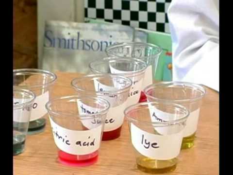 Kimya Ders: Asitler Ve Bazlar Ph Testleri : Asitler Ve Bazlar Kimya Ph Testi: Renk Bölen 