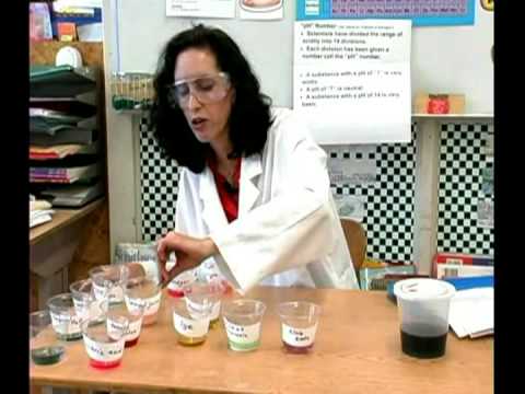 Kimya Ders: Asitler Ve Bazlar Ph Testleri : Asitler Ve Bazlar Kimya Ph Testi: Sonuçlar
