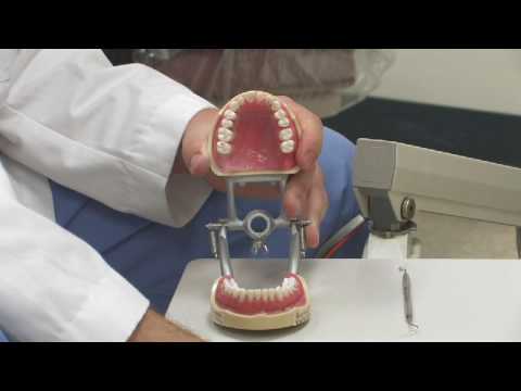 Diş Sağlığı : Diş Hekimi Bir Boşluğu Doldurmak Mı?