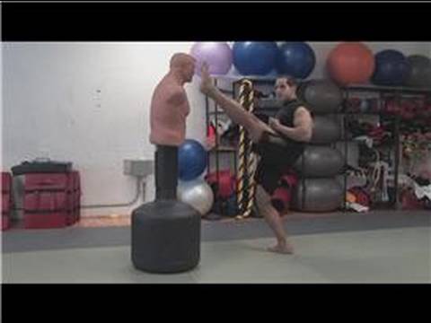 Dövüş Sanatları Teknikleri : Kick Boks Teknikleri