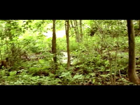 Wilderness - Bölüm 20 - Finale Kalan