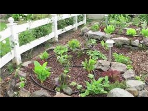 Domates Bahçe: Nasıl Bir Sülfat Karışımı Bir Gübre Olarak Domates İçin Kullanılır.