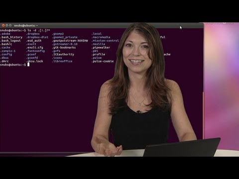 Haktip - Linux Terminal 101 - Nasıl Yankı Kullanılır