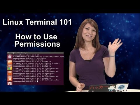 Haktip - Linux Terminal 101: İzinlerinin Nasıl Kullanılacağını