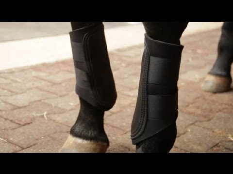 Fırçalama Bot Arasındaki Fark & Tendon Boots : Binicilik Bilgileri