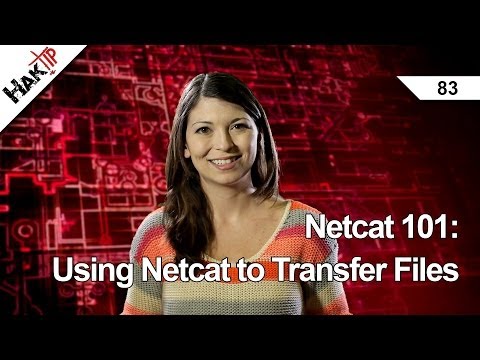 Netcat 101: Dosyaları, Haktip 83 Netcat Kullanma