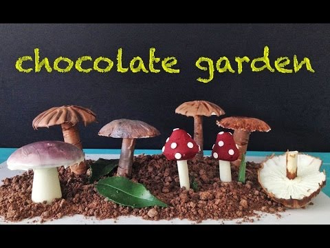 Çikolata Bu Garnitür Dekorasyon Tatlı Tarifi Ann Reardon Pişirmeyi Bahçe