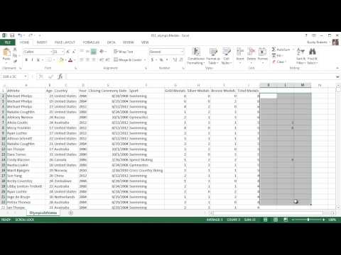 Microsoft Excel 2013 Eğitmeni - 25 - Cool İşlevleri Sayma