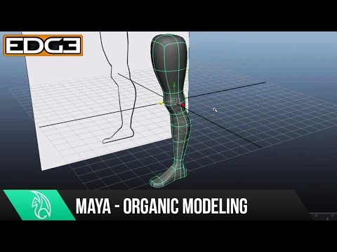 Maya Eğitimi - Bacak Hd Modelleme Organik
