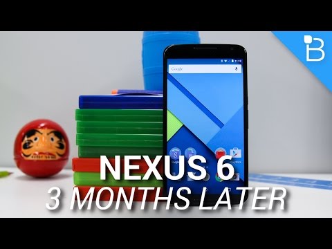 Nexus 6: Üç Ay Sonra