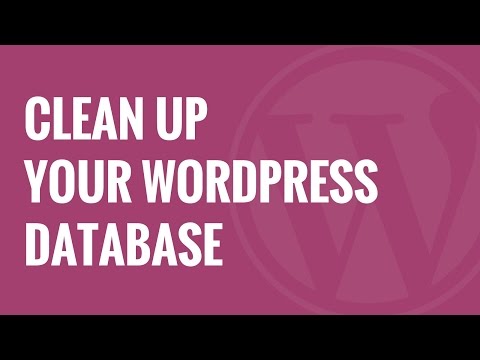 Nasıl Wordpress Veritabanı Performansı Artırmak İçin Temizlemek İçin