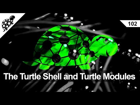 Lan Kaplumbağa 102 - Kaplumbağa Kabuğu Ve Kaplumbağa Modülleri